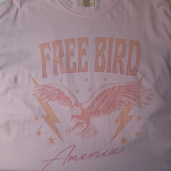 Comfort Colors Pink Free Bird Tee Shirt - Picture 2 of 5